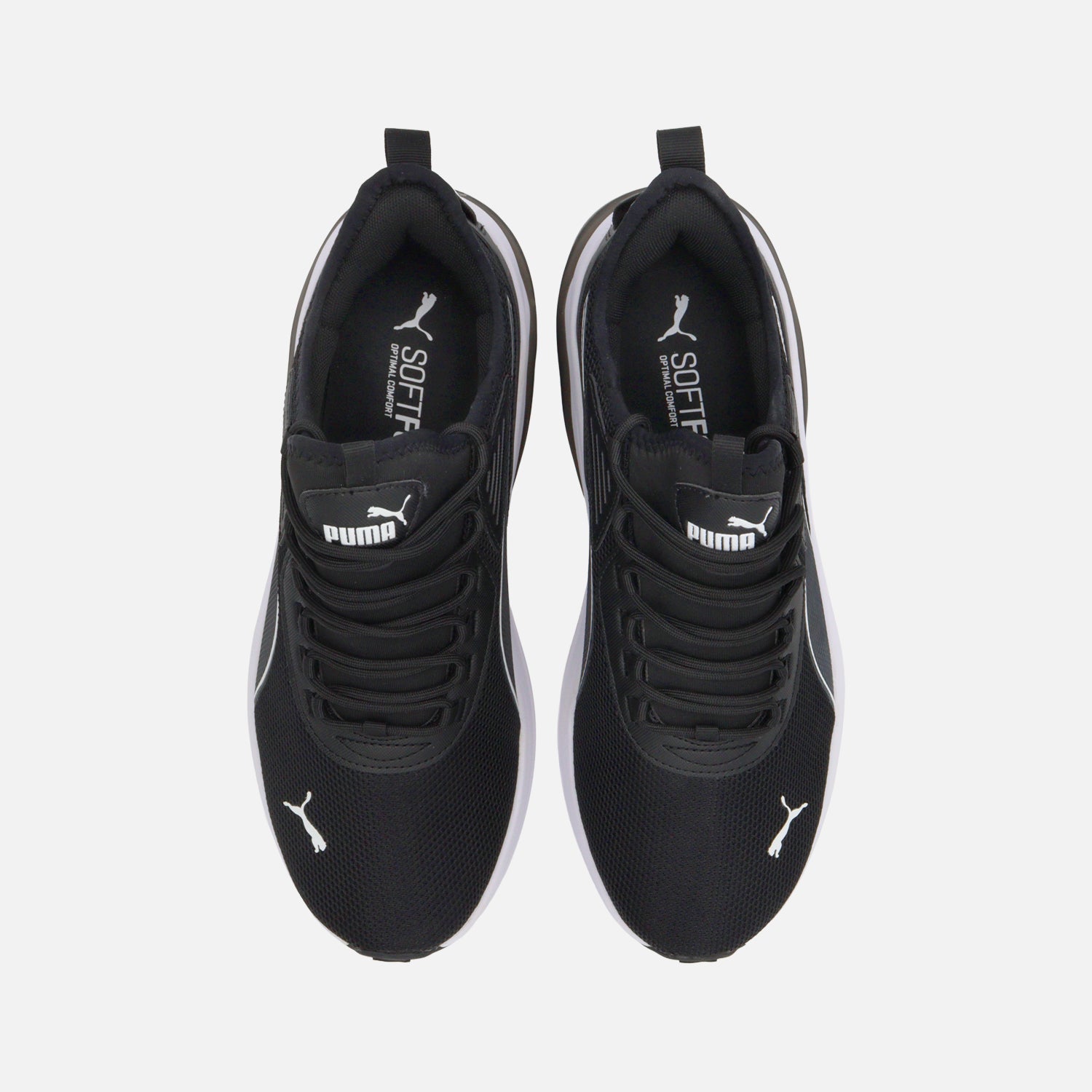 Tenis Puma Amplifier