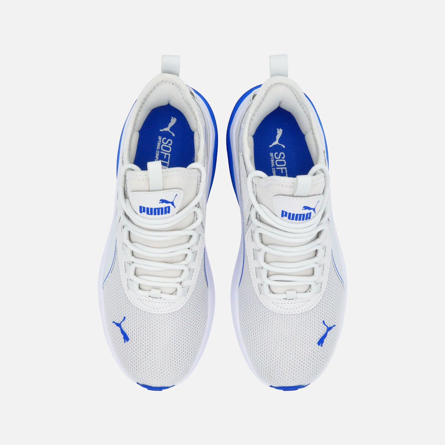 Tenis Puma Amplifier