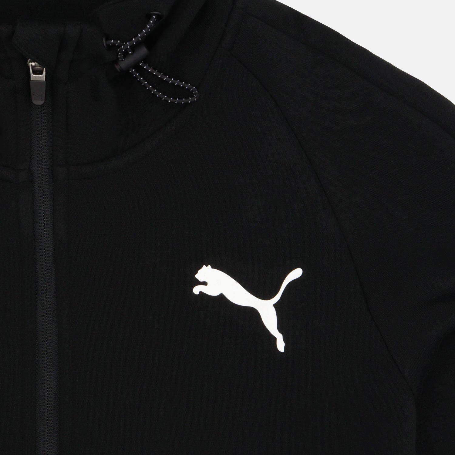 Chamarra Puma Evostripe Core FZ para Hombre