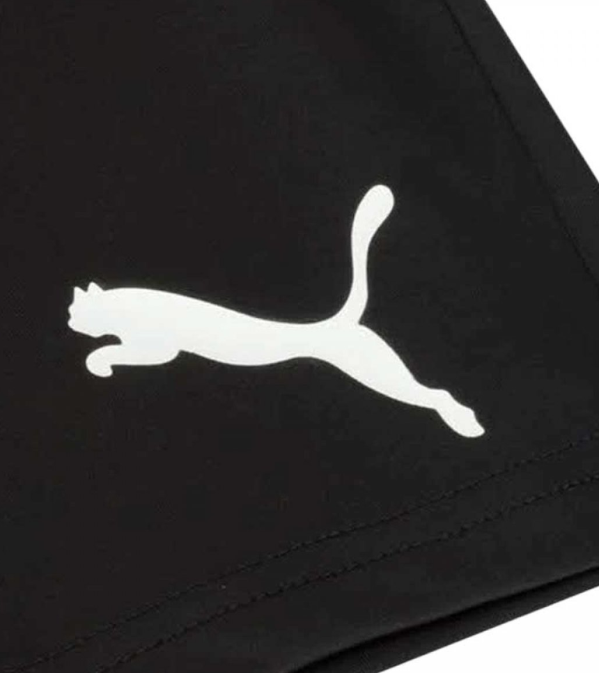 Puma active interlock shorts B